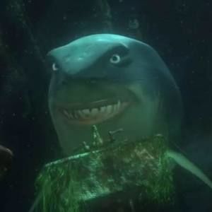 Meet your Posher, Bruce